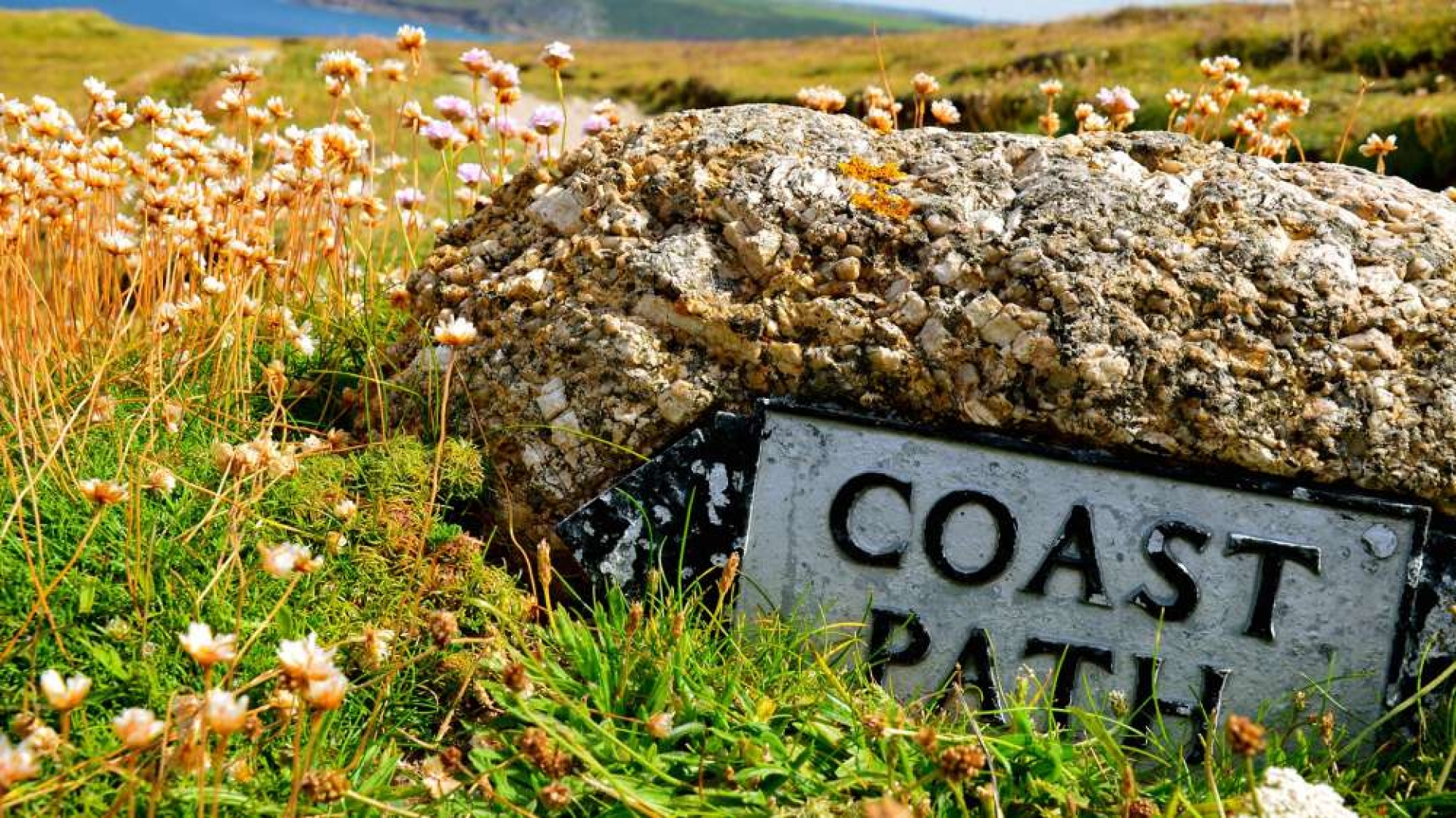 Embrace the New Year and Early Spring in Cornwall