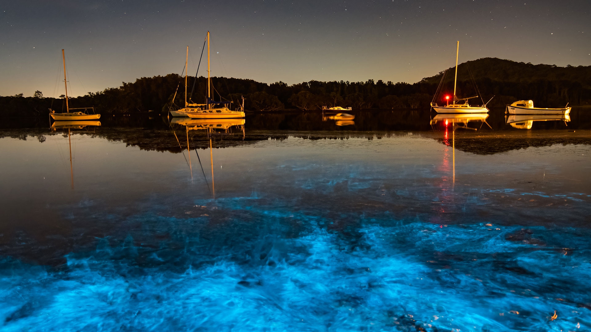 Glowing Plankton Light Up Cornwall Coast